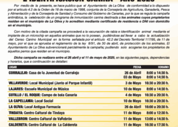 Comienza la Campaña de Vacunación Antirrábica e Identificación Canina 2025 en La Oliva