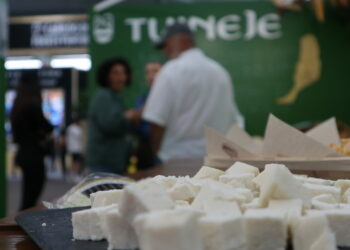 Tuineje arrasa en los Premios Tabefe