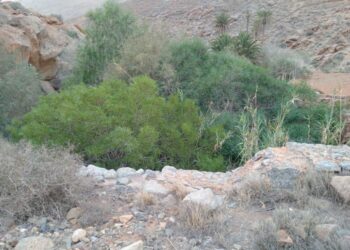 Betancuria traslada a Seguridad y Emergencias el abandono de los barrancos del Municipio