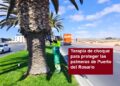 Terapia de choque para proteger las palmeras de Puerto del Rosario