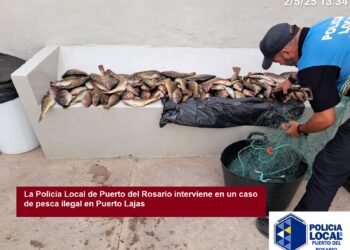 La Policía Local de Puerto del Rosario interviene en un caso de pesca ilegal en Puerto Lajas