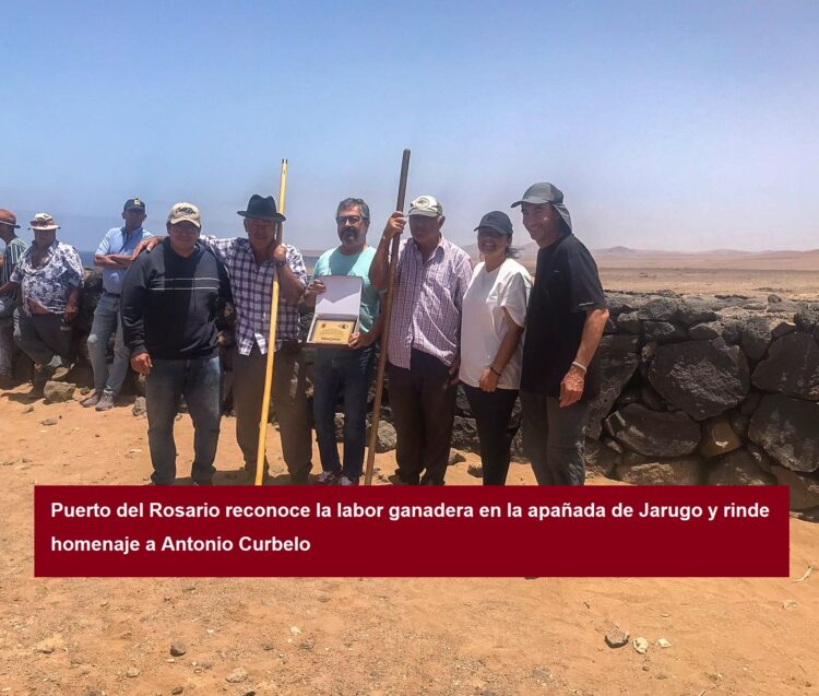 Puerto del Rosario reconoce la labor ganadera en la apañada de Jarugo y rinde homenaje a Antonio Curbelo