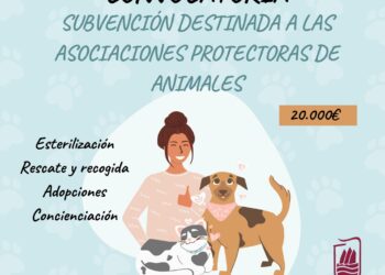 Puerto del Rosario announces new subsidies for animal protection associations