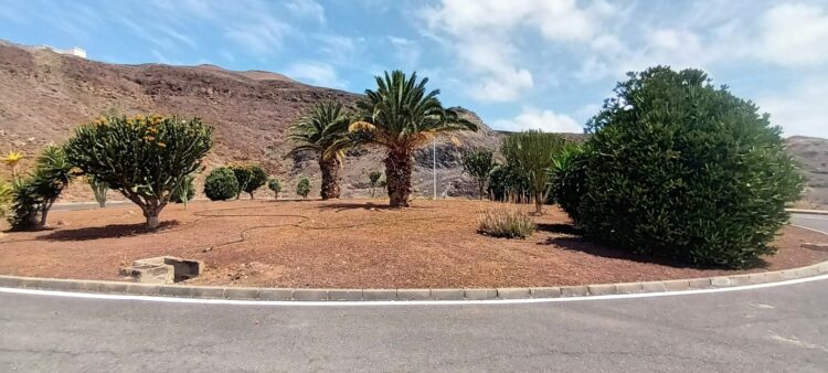 Pájara completes the cleaning and clearing work in the area of Jandía