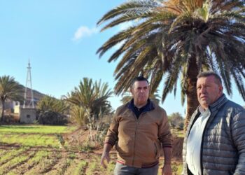 Antigua subsidizes sonar for fishermen and covers dead animal removal insurance for livestock farmers