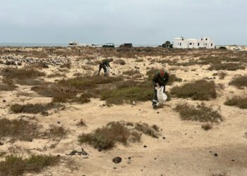 ﻿Limpieza después de la experiencia FEM