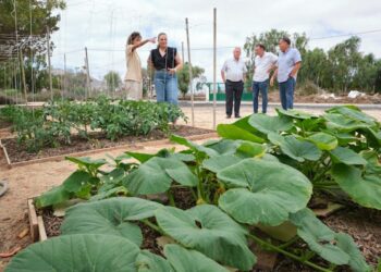﻿El PFAE GJ ‘Fuerteventura conserva su medio’ forma a jóvenes en jardinería y conservación del entorno natural