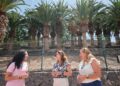 ﻿La poda de palmeras devuelve el esplendor y la seguridad a la zona verde del CEIP Morro Jable