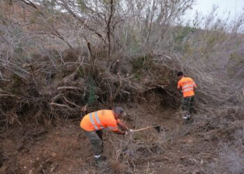﻿‘Fuerteventura, bonita por naturaleza’ acondiciona los barrancos del municipio de Betancuria