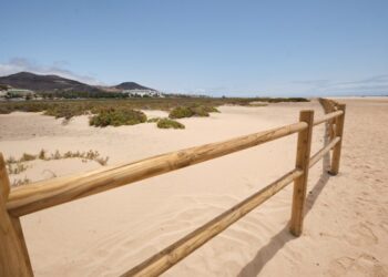 ﻿El Cabildo culmina la restauración de casi 1.000 metros de vallado para proteger el Saladar de Jandía