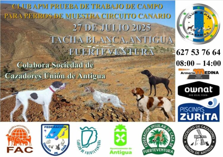 Antigua acoge la Prueba APM del Circuito Canario de Trabajo de Campo para perros de Muestra