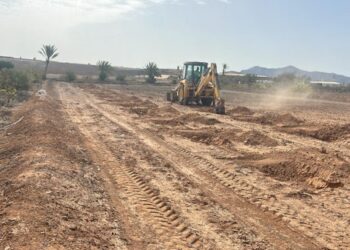 El Cabildo de Fuerteventura ayuda a la plantación de frutales en Rosa de los James