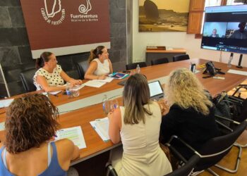 ﻿El Cabildo pide al Gobierno de Canarias que ajuste el plan de recuperación de la hubara a la realidad majorera