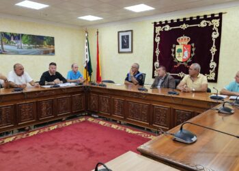 Das Rathaus lehnt den Vorschlag der Vereinigung ab, die Taxistände in Antigua abzuschaffen.