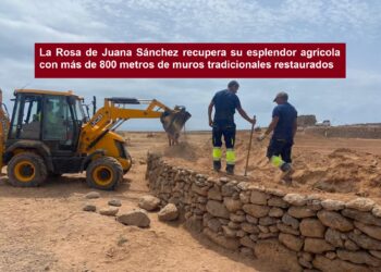 La Rosa de Juana Sánchez recovers its agricultural splendor with more than 800 meters of restored traditional walls.