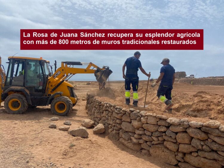 La Rosa de Juana Sánchez recupera su esplendor agrícola con más de 800 metros de muros tradicionales restaurados