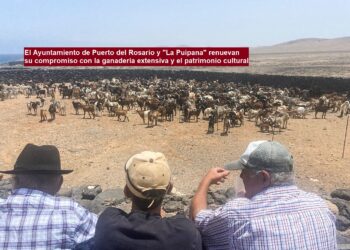 The City Council of Puerto del Rosario and “La Puipana” renew their commitment to extensive livestock farming and cultural heritage.