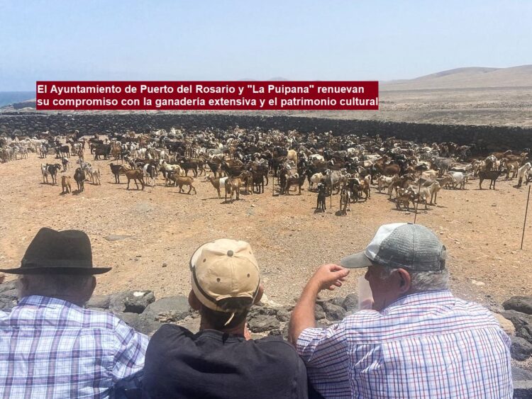El Ayuntamiento de Puerto del Rosario y «La Puipana» renuevan su compromiso con la ganadería extensiva y el patrimonio cultural
