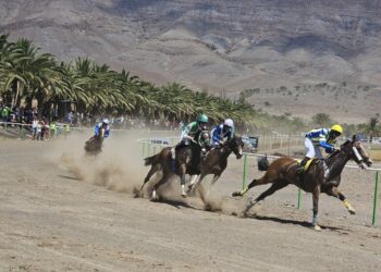 Excelentes caballos montados por jockeys campeones en la I Carrera Fiestas de Antigua 2025
