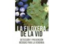 Fuerteventura acoge una charla informativa sobre detección y prevención de la filoxera de la vid