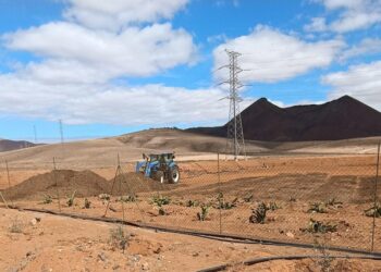 ﻿Los tractores agrícolas preparan las gavias de Tiscamanita para su cultivo