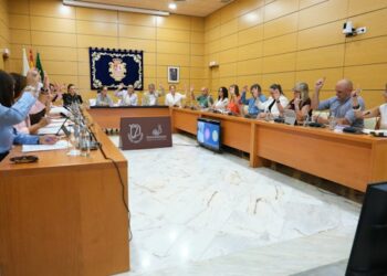 El Pleno del Cabildo aprueba provisionalmente el reglamento interno de los centros de día para personas mayores