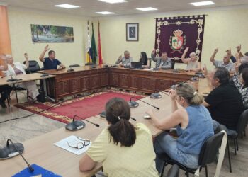 Antigua refuerza y mejora el servicio de Taxi adjudicando 10 nuevas licencias