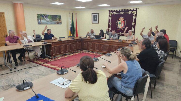 Antigua refuerza y mejora el servicio de Taxi adjudicando 10 nuevas licencias