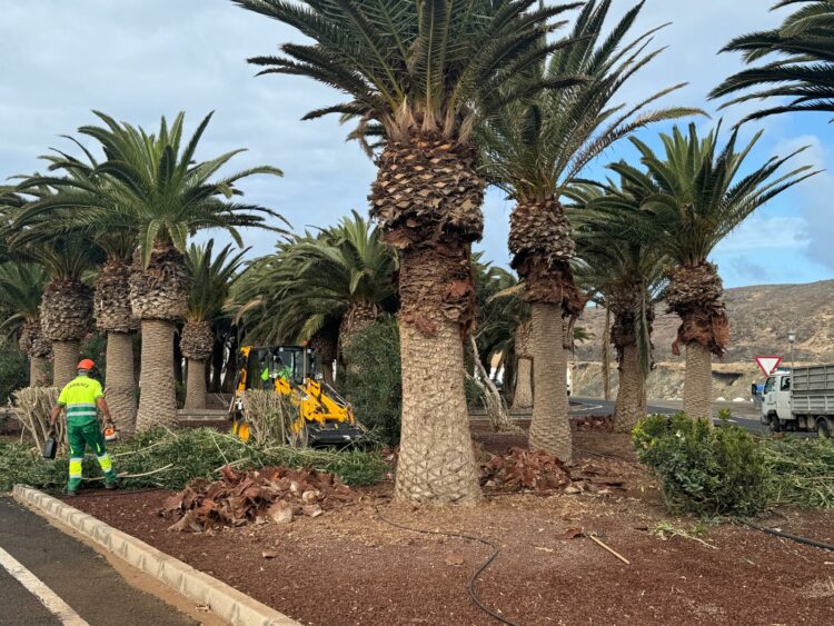 El Ayuntamiento mejora la imagen de Ajuy con una intervención en las zonas ajardinadas