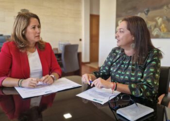 El Cabildo deniega el interés público y social del proyecto de planta fotovoltaica Majorera I, por afectar a un terreno de gavias