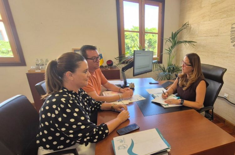 Cabildo e ICAVI buscan fórmulas para favorecer el acceso de la población joven a la vivienda