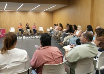 Reunido el Consejo Escolar Insular para abordar cuestiones que afectan a la comunidad educativa