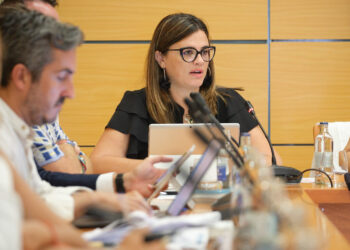 El Cabildo publica la resolución provisional de las ayudas al fomento de la contratación