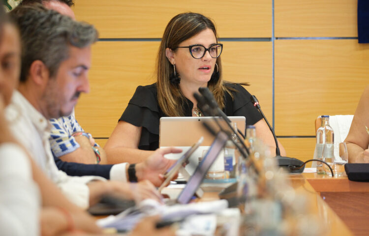 El Cabildo publica la resolución provisional de las ayudas al fomento de la contratación