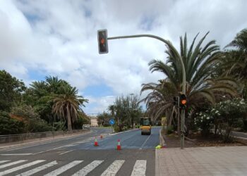 El Cabildo asfalta la antigua vía de acceso a Costa Calma y desbroza los márgenes de maleza y restos de palmeras