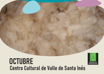 El Cabildo de Fuerteventura imparte un taller de iniciación a la transformación de la lana