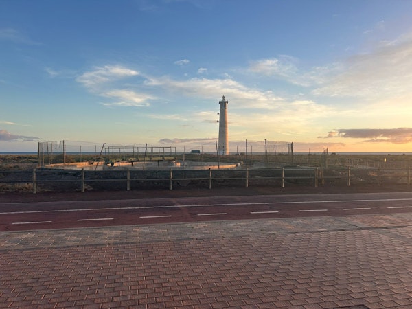 El Cabildo logra el visto bueno de Costas para ejecutar el proyecto de ‘Renaturalización del Saladar de Jandía’