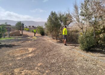 ‘Fuerteventura, bonita por naturaleza’ ejecuta mejoras en los jardines de la Estación Biológica de La Oliva