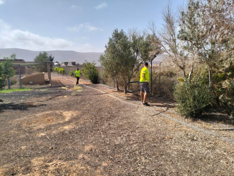 ‘Fuerteventura, bonita por naturaleza’ ejecuta mejoras en los jardines de la Estación Biológica de La Oliva