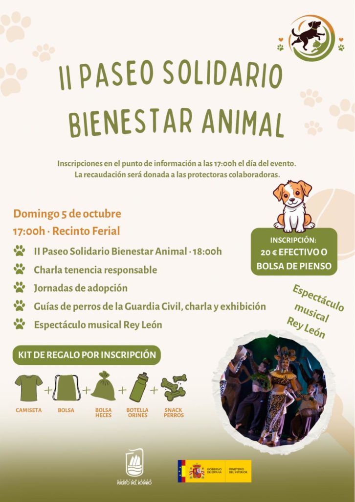 ii-paseo-solidario-726x1024-1