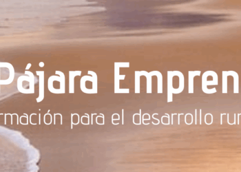 El Ayuntamiento de Pájara realiza una encuesta ciudadana para diseñar los cursos formativos de 2026 