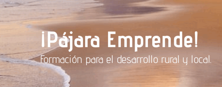 El Ayuntamiento de Pájara realiza una encuesta ciudadana para diseñar los cursos formativos de 2026