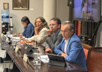 El Cabildo pide que la ley de municipios turísticos reconozca la realidad insular y la presión creciente sobre los recursos