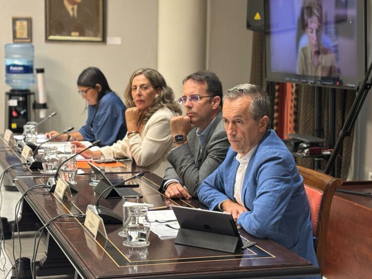 El Cabildo pide que la ley de municipios turísticos reconozca la realidad insular y la presión creciente sobre los recursos