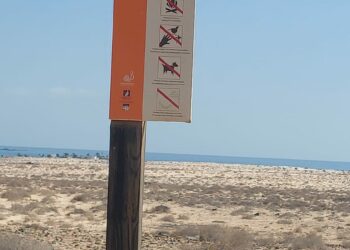 El Cabildo advierte del daño que pueden causar los animales domésticos sueltos en espacios naturales