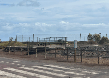 Pájara celebra la autorización de Costas Canarias al Cabildo de Fuerteventura para la recuperación del Saladar de Jandía