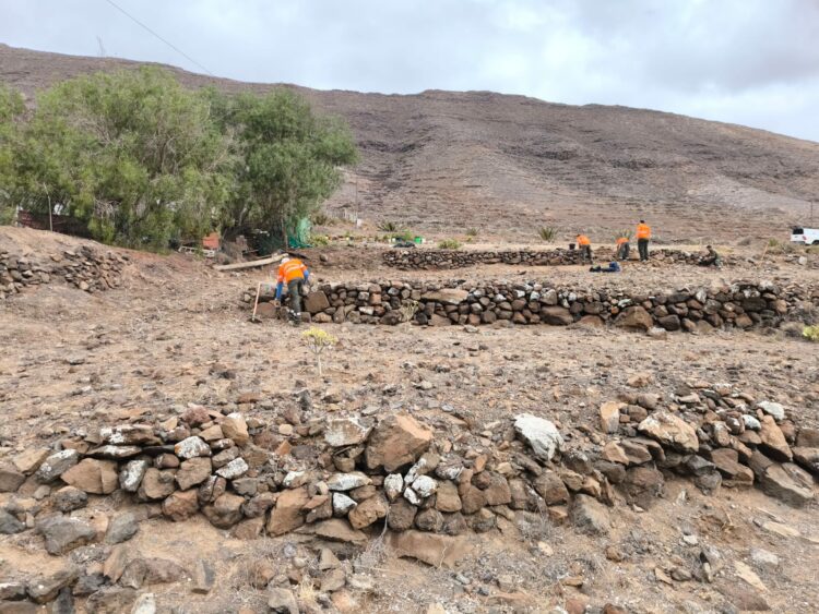 ‘Fuerte por Naturaleza’ avanza en Valle Grande y ya ha completado la rehabilitación sostenible del paisaje en 45.000 metros cuadrados