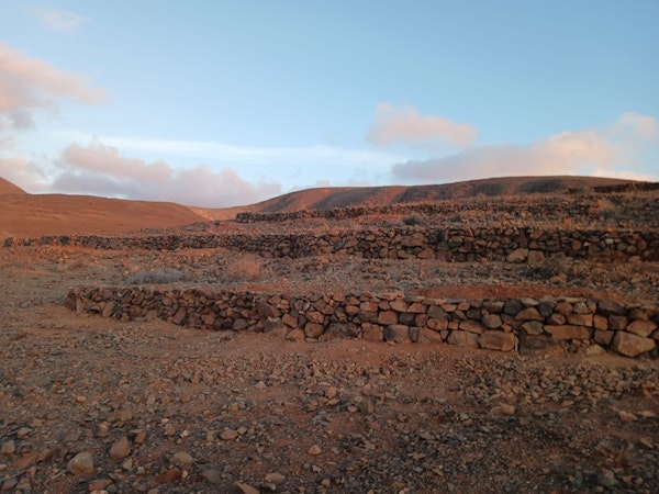 Tiscamanita revive su sistema agrario tras una amplia y minuciosa actuación coordinada de Cabildo y Ayuntamiento