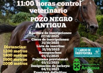 A galope en la carrera de caballos este sábado en la pista de Pozo Negro