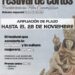 El Festival de Cortometrajes de Fuerteventura Film Commission amplía su plazo de inscripción hasta el 28 de noviembre